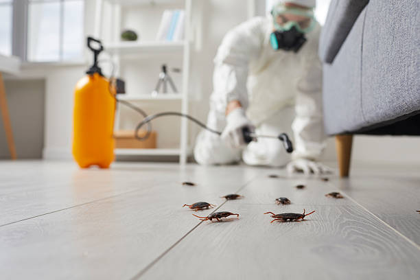 Commercial Kitchen Cockroach Control in Highland Park